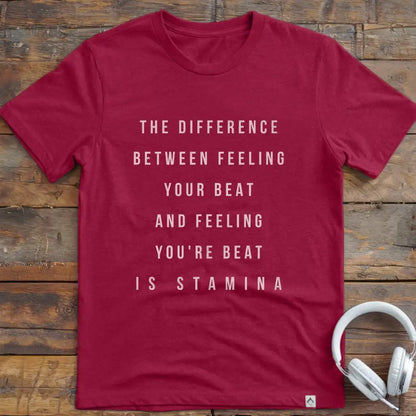 Difference Between 2 T-Shirt